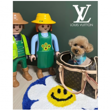 LOUIS VUITTON 루이비통 강아지 펫 케리어