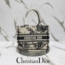 DIOR 디올 조디악 북 토트 스몰 백