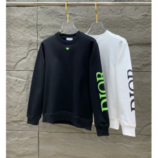 DIOR 디올 벌 팔나염 맨투맨