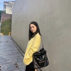 CHANEL 샤넬  22백 금장 스몰