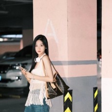 LOUIS VUITTON 루이비통 캐리올