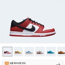 NIKE 나이키 SB 덩크로우 프로 시카고